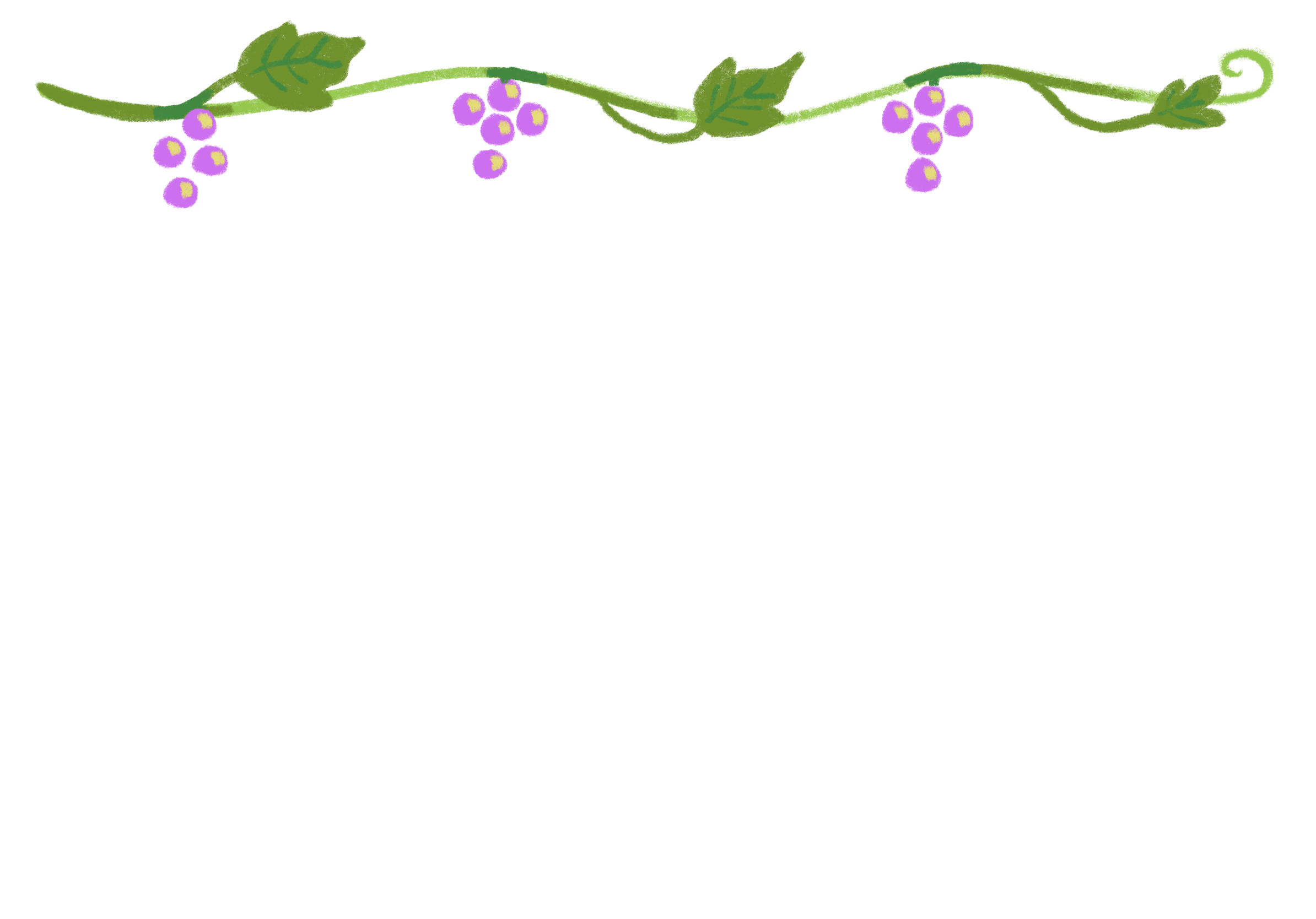 Illustration of a grapevine